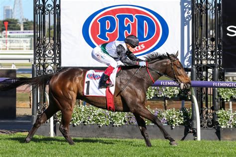 makybe diva stakes